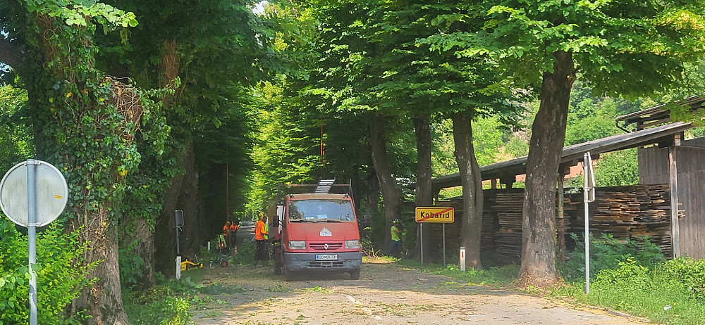 V OKVIRU REVITALIZACIJE LIPOVEGA DREVOREDA MED KOBARIDOM IN ROBIČEM JE BILO JUNIJA STROKOVNO OBREZANIH 44 LIP, s čimer Občina Kobarid ohranja enega izmed najstarejših in najdaljših lipovih drevoredov v Sloveniji.