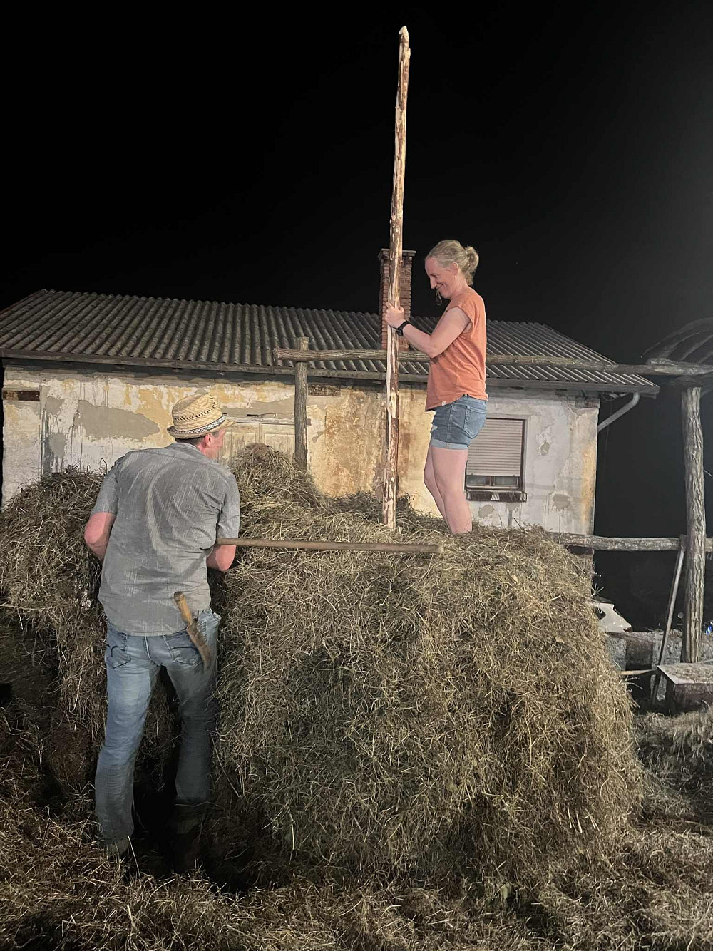 7. BURJANSKI SEJEM JE NAVDUŠIL Z BOGATIM KULTURNO-ZABAVNIM PROGRAMOM, med drugim so obiskovalci lahko spremljali postavljanje senene kope – nekoč nepogrešljivo veščino kmečkega vsakdana, danes pa dragocen del naše nesnovne kulturne dediščine. 