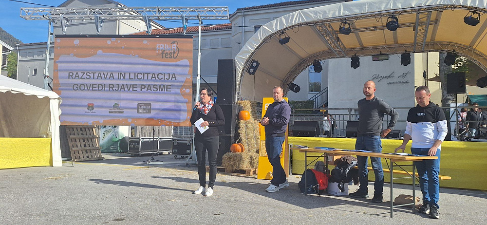 KMEČKI DEL FRIKAFESTA JE TRADICIONALNO POSTREGEL Z RAZSTAVO OCENJENIH SIROV IN DOMAČIH ŽIVALI TER »HIBRIDNO« AVKCIJO GOVEDA RJAVE PASME. Ta je letos zaradi pojava bolezni modrikastega jezika potekala brez prisotnosti licitiranih telic.