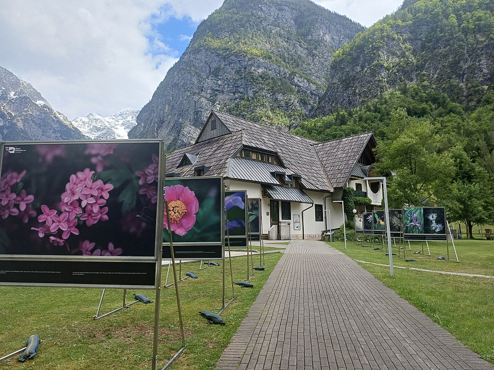 DOM TRENTA LETOS OBISKOVALCEM PONUJA ŠE BOGATEJŠO IZKUŠNJO JULIJSKIH ALP, saj so poletno sezono odprli z novimi fotografskimi razstavami, prenovljeno videoinstalacijo Skrivnosti Soče ter vsebinami, ki skozi naravo, dediščino in biodiverziteto predstavljajo življenje v alpskem prostoru.
