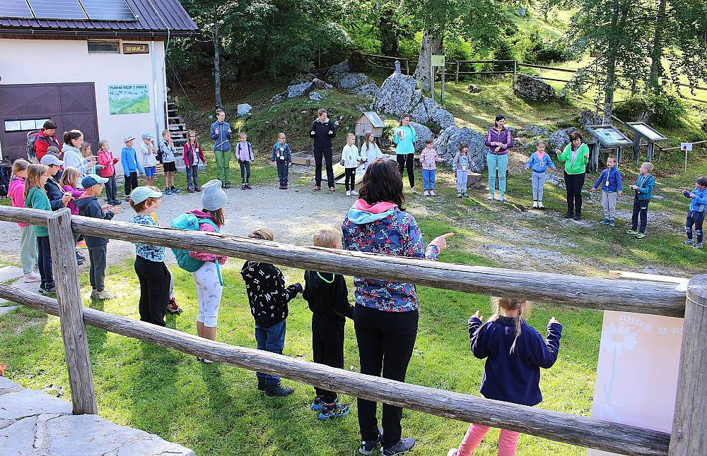 SKORAJ 150 OTROK JE NA MEDGENERACIJSKEM PLANINSKEM TABORU NA PLANINI RAZOR skozi raznolike delavnice in doživetja spoznavalo gorski svet.